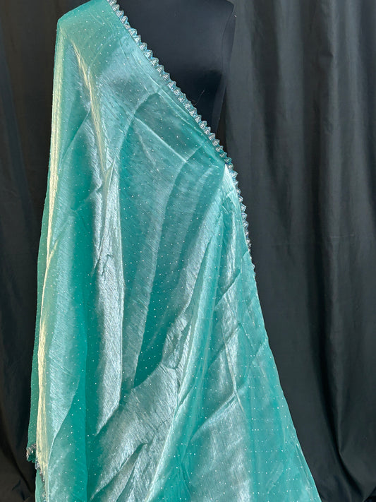 Tissue organza saree
