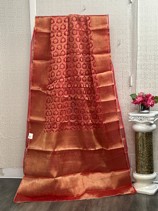 Tissue organza saree