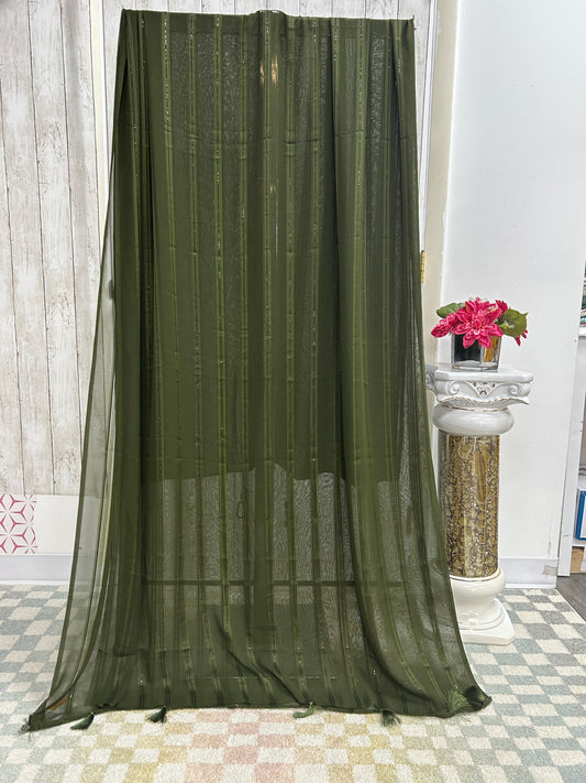 Plain georgette saree with light sequin work