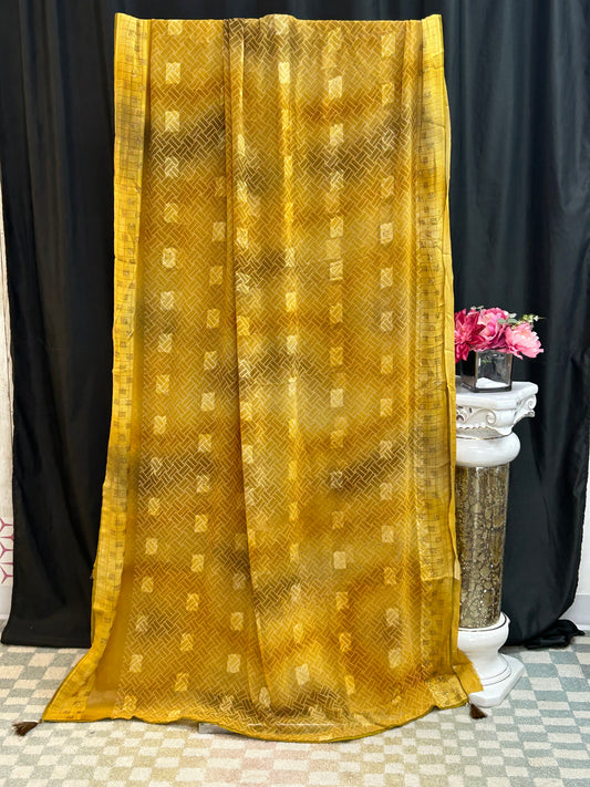 Chiffon saree with stone work